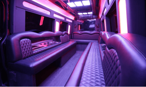 Fort Worth 14 Passenger Sprinter Bus Interior