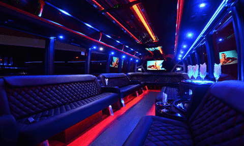Fort Worth 30 Passenger Party Bus Black Interior